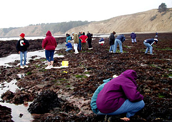 teachers and students exploring by the shore